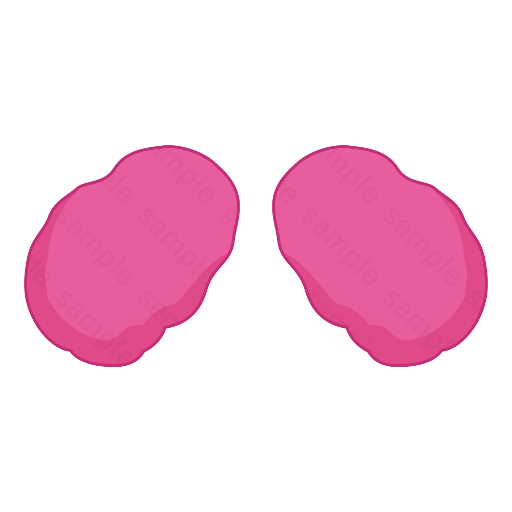 いれいす 耳型ヘアピン ないこ